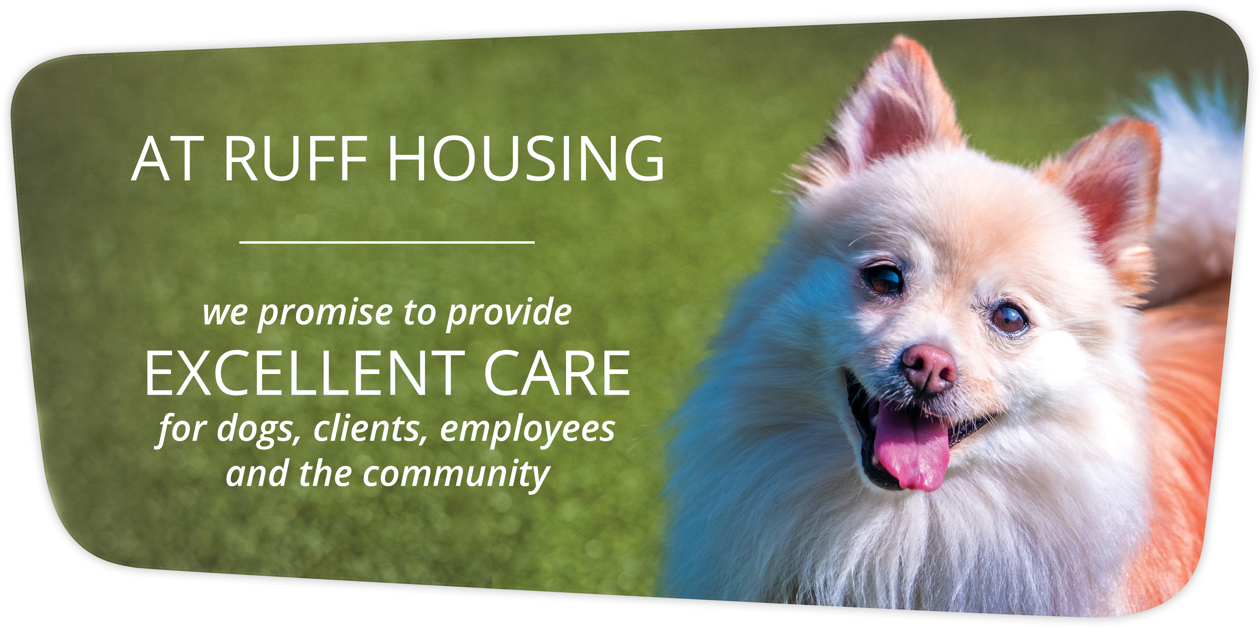 Smalldog About - German Spitz Mittel (4500x2344), Png Download