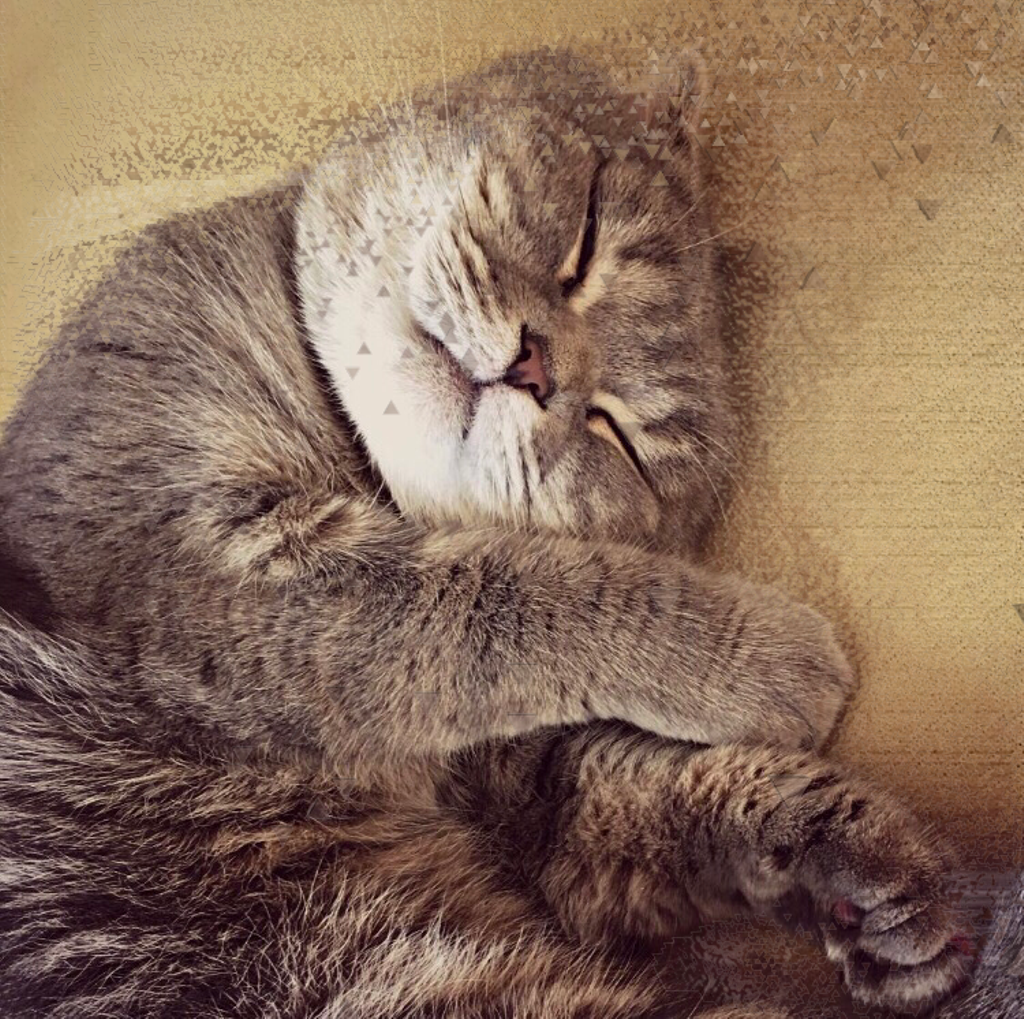 Cute Sticker (1024x1019), Png Download