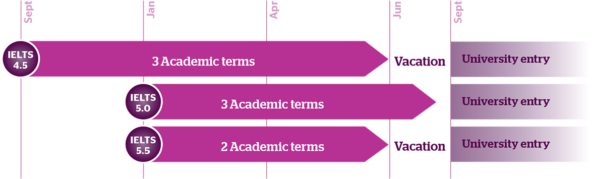Sample Pathways For The International Business Foundation - Colorfulness (1200x381), Png Download