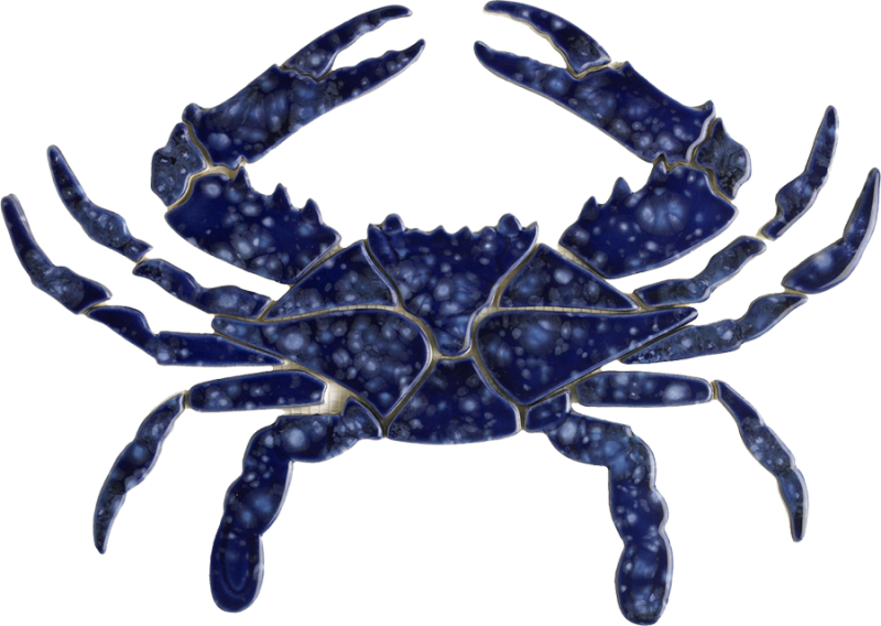Bc34-12 11"x9" Blue Crab Ceramic Pool Mosaic - Blue Crab Profile (800x568), Png Download