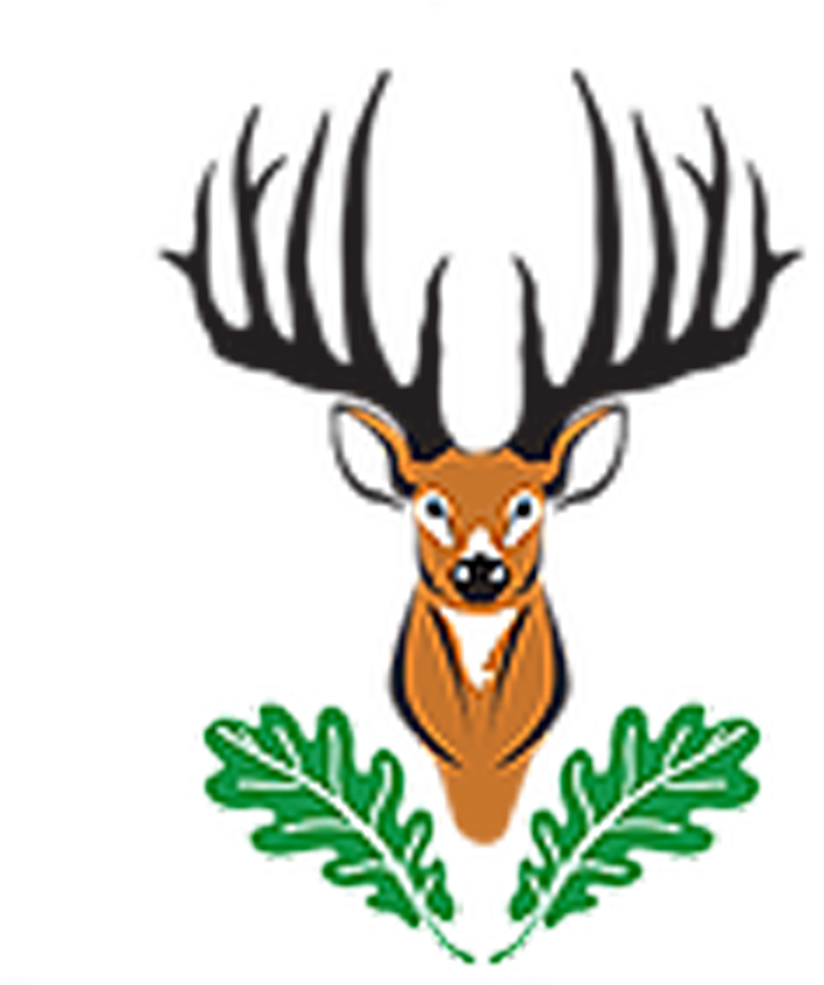 Elk (1200x984), Png Download