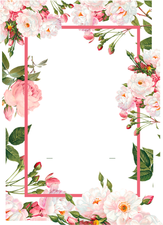 Pink Borders Flower Free Png Hq - Flower Watercolor Frame Png (800x800), Png Download