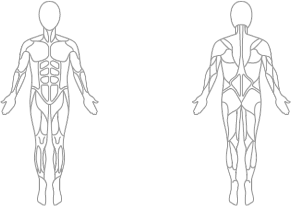 Drawn Anatomy Bicep Anatomy - Surya Namaskar Muscles Worked (640x480), Png Download