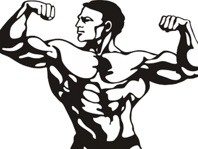 Curl Clipart Bicep - Bodybuilder Clipart Png (640x480), Png Download
