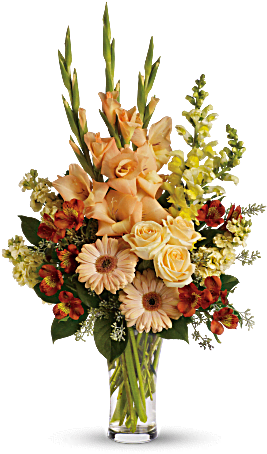 More Views - T266 2a (368x460), Png Download