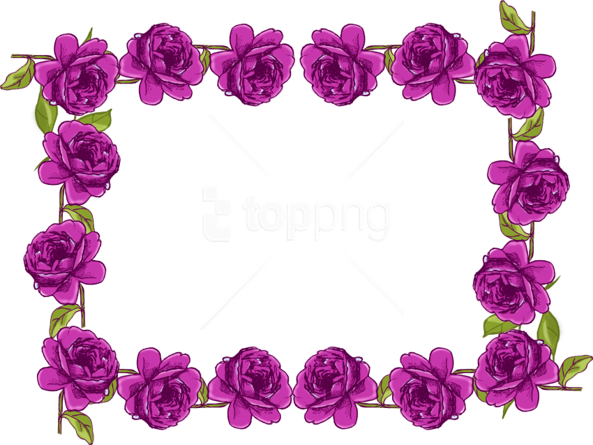 Free Png Purple Border Frame Png - Rose Flower Border Design (850x638), Png Download
