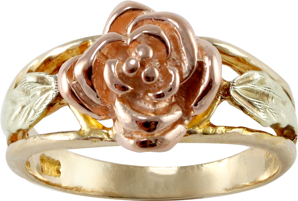 Lilliane's Jewelry - Pre-engagement Ring (1102x1102), Png Download