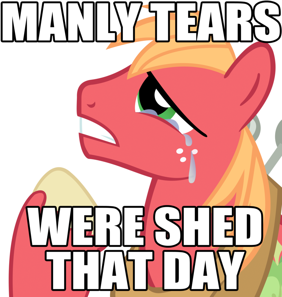 Big Macintosh, Crying, Earth Pony, Image Macro, Male, - Just Got Real Daffy Duck (900x959), Png Download