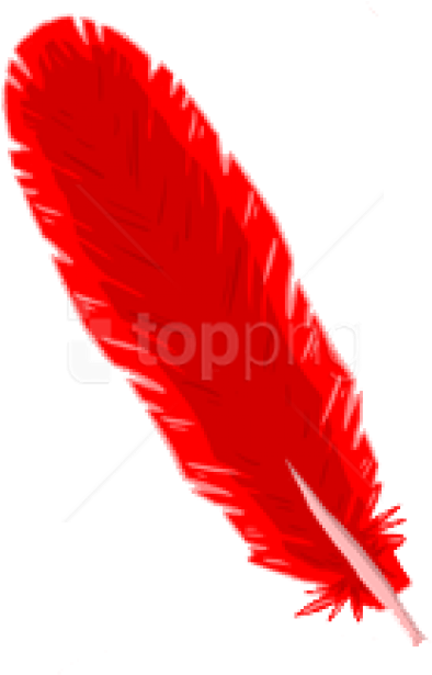 Free Png Download Feather Png Images Background Png - صور ريش احمر (480x642), Png Download