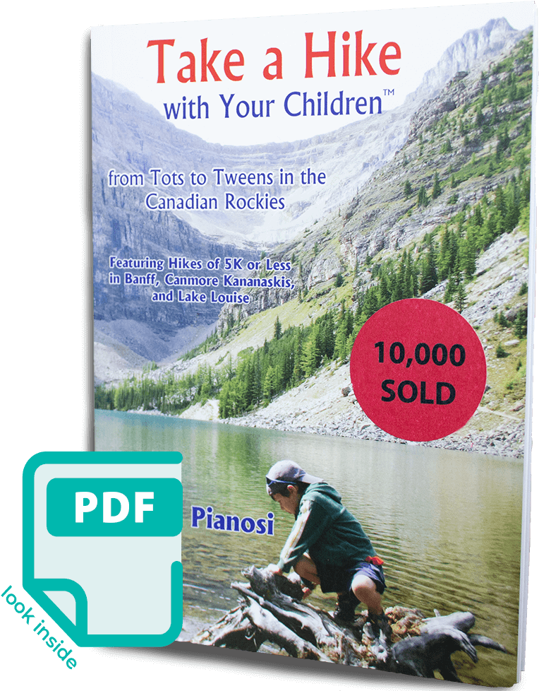 Take A Hike With Your Children A Guidebook For Family - Lake Agnes (800x993), Png Download
