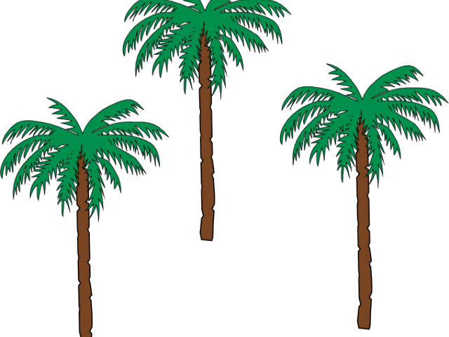 Palm Tree Clipart Desert Tree - Palm Tree Coat Of Arms (640x480), Png Download