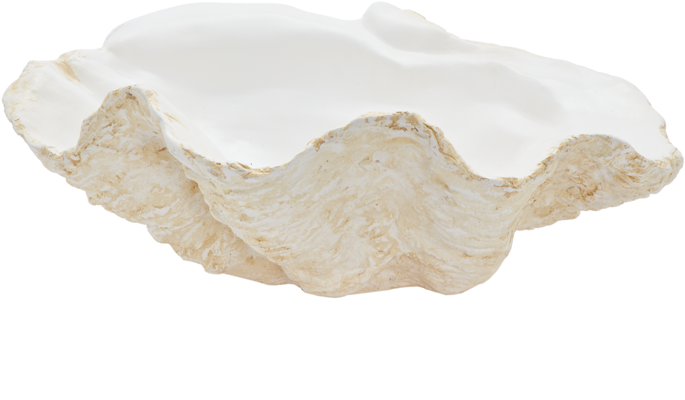 Giant Ceramic Clam Shell - Bathroom Sink (1500x1500), Png Download