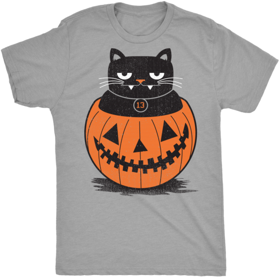 Black Cat - Pumpkin (600x600), Png Download