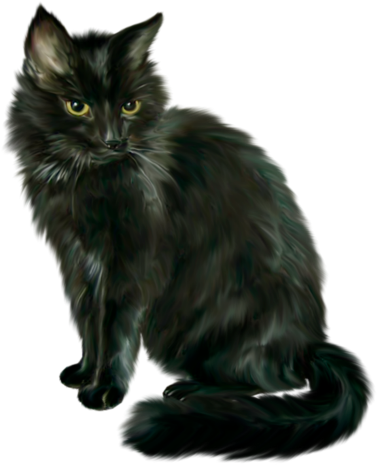 #mq #black #cat #pet #halloween (1024x1024), Png Download