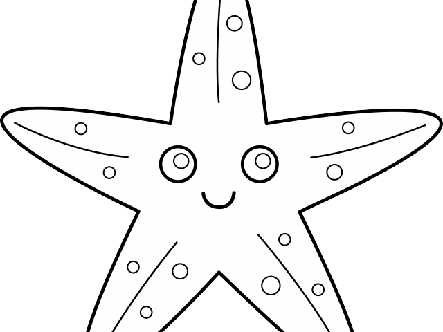 Starfish Clipart Sea Life - Marine Invertebrates (640x480), Png Download