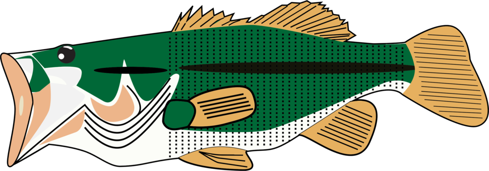 Fish Bass Fin Download Sea - Portable Network Graphics (970x340), Png Download