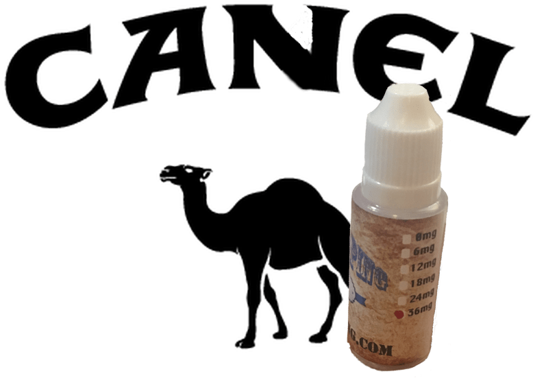 Canel Ejuice - Camel (800x800), Png Download