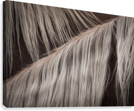 Jolie Blonde Canvas Print - Lace Wig (429x357), Png Download