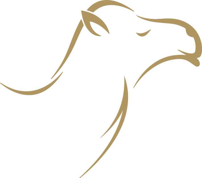 We Keep A Close Eye On Our Camels And Have A Strict - Camel Head Logo Png (710x624), Png Download