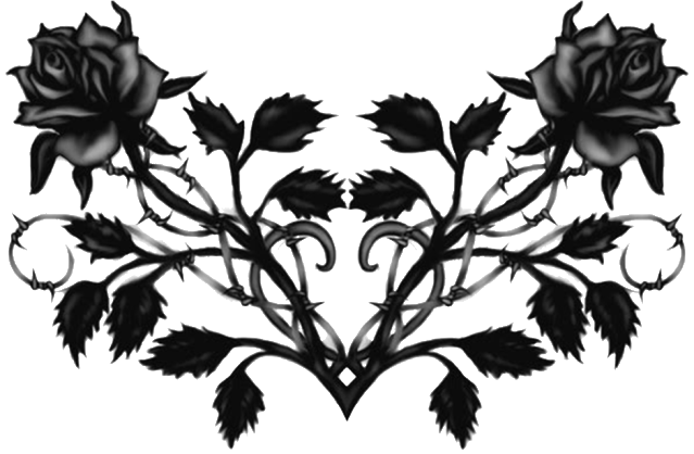 Black Rose - Blackrose - Black Rose With Thorns (639x418), Png Download