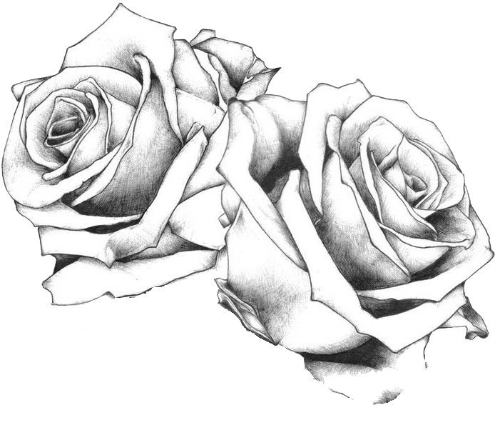 Download Tattoo Drawing Art Rose Flash Bundle Of Roses Drawing Png Image With No Background Pngkey Com Download Tattoo Drawing Art Rose Flash Bundle Of Roses Drawing Png Image With No Background Pngkey Com