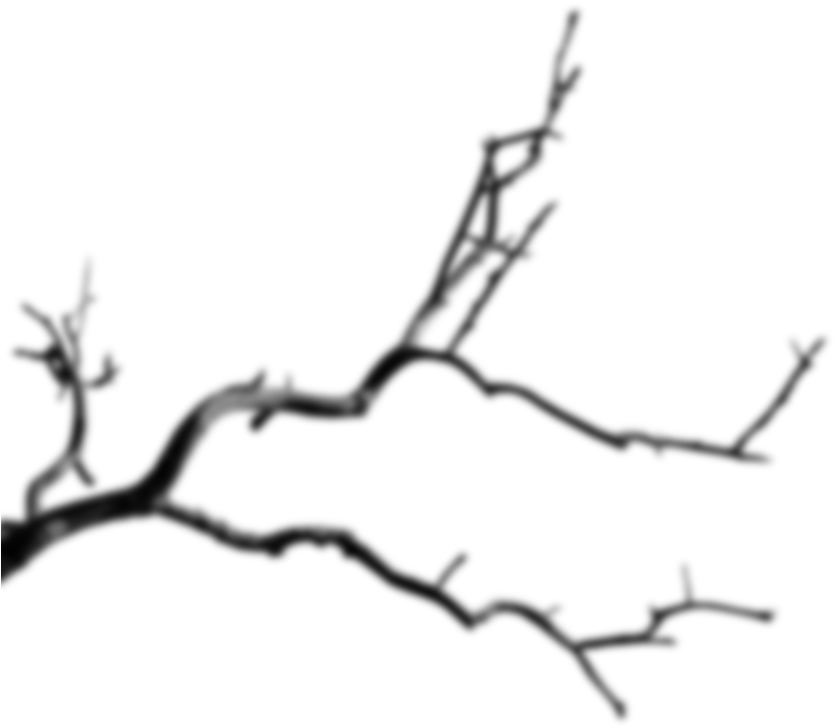 Arrow Branch - Branch (934x856), Png Download