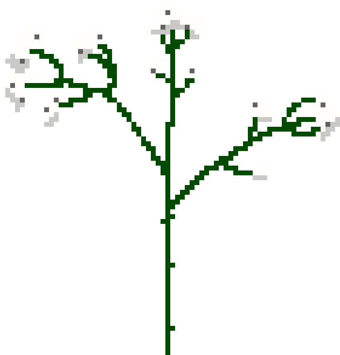 Baby's Breath - Pixel Art (990x890), Png Download