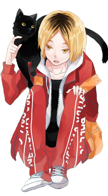 Cant Dye A Blonde Wig Because I Don't Know Why And - Haikyuu Kenma Kozume Render (350x700), Png Download
