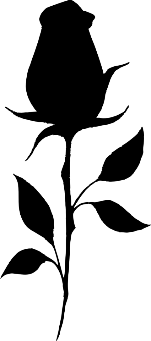 Free Png Rose Silhouette Png Images Transparent - Rose Silhouette Png (481x1086), Png Download