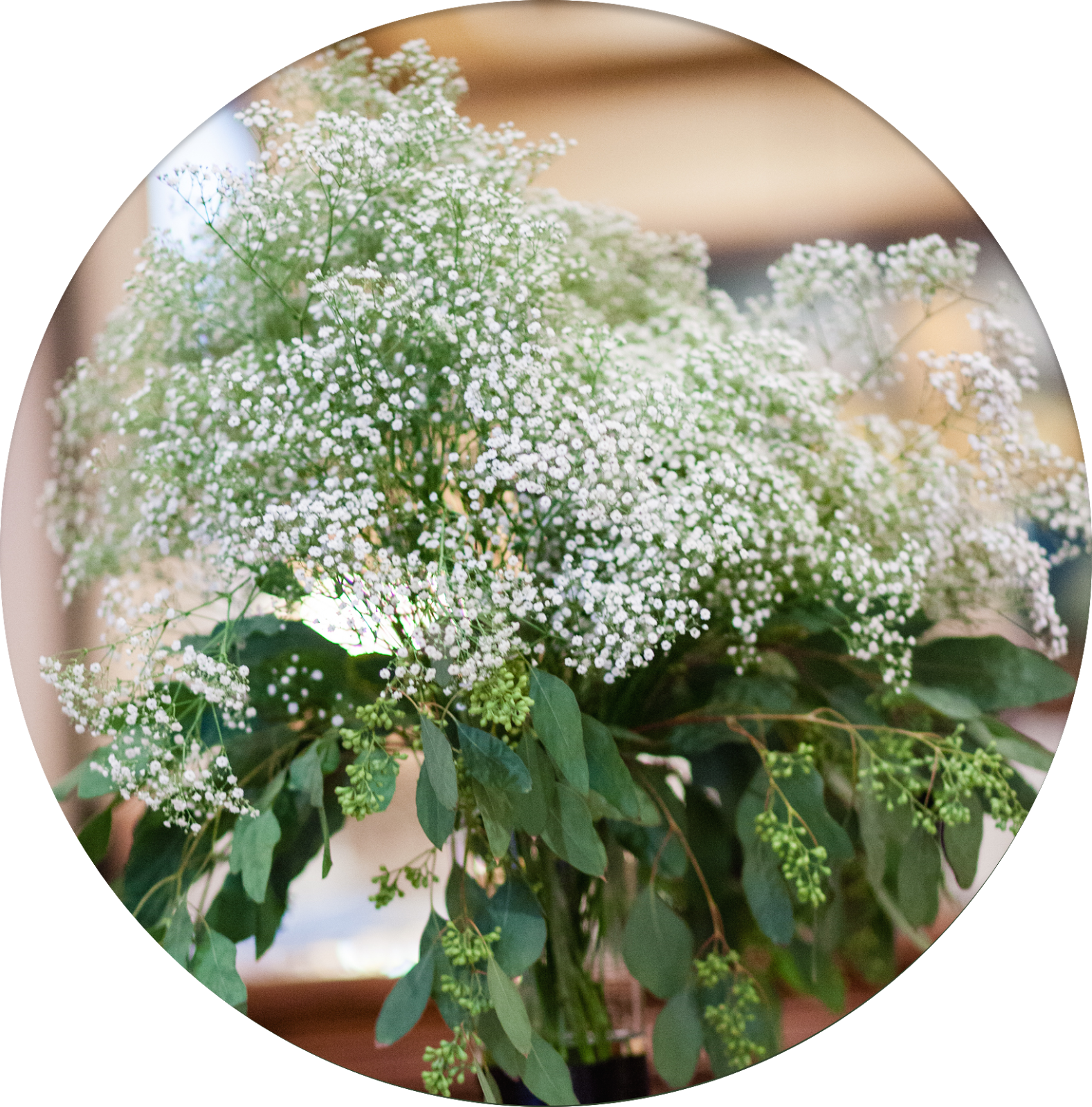 Baby's Breath Means Innocence - Baby's-breath (1578x1600), Png Download