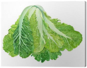 Chinese Cabbage In Watercolor - Vegetable (400x400), Png Download
