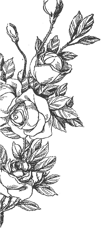 ~elegance~ - Anime (326x759), Png Download