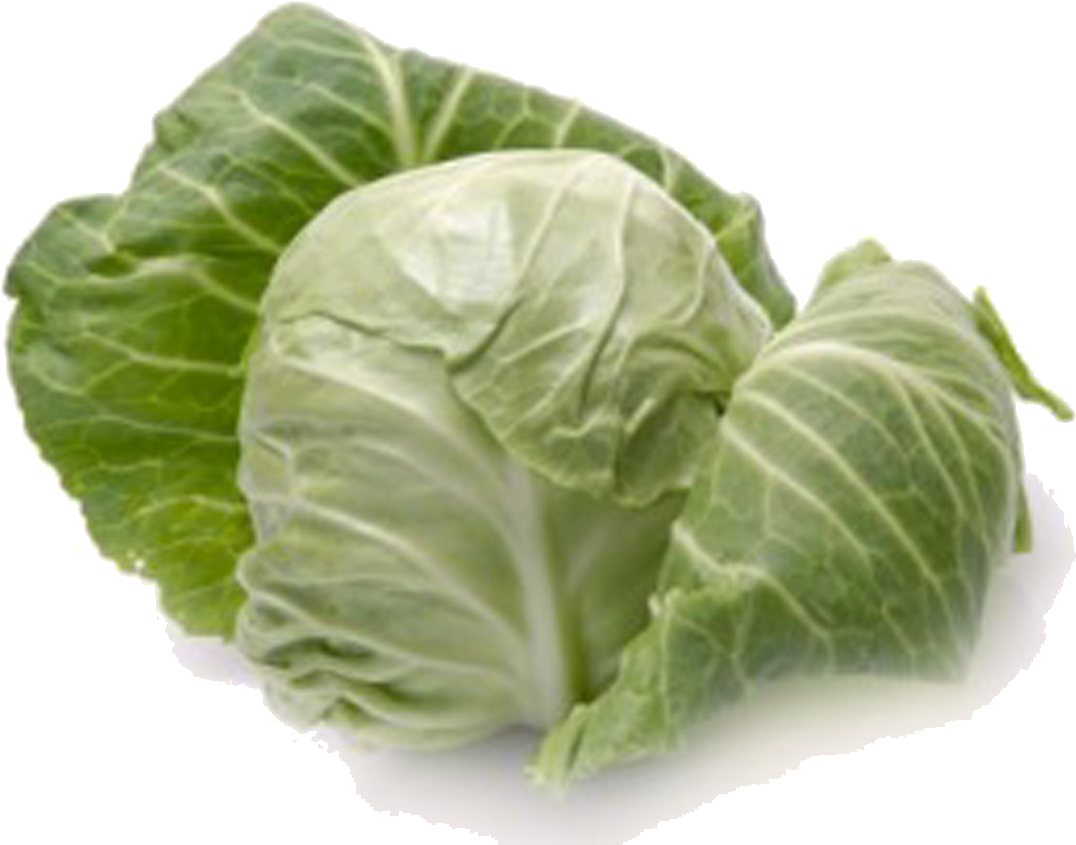Cabbage Png - Cabbage Definition (1176x972), Png Download