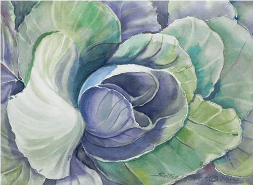 Unfolding V - Wild Cabbage (500x500), Png Download