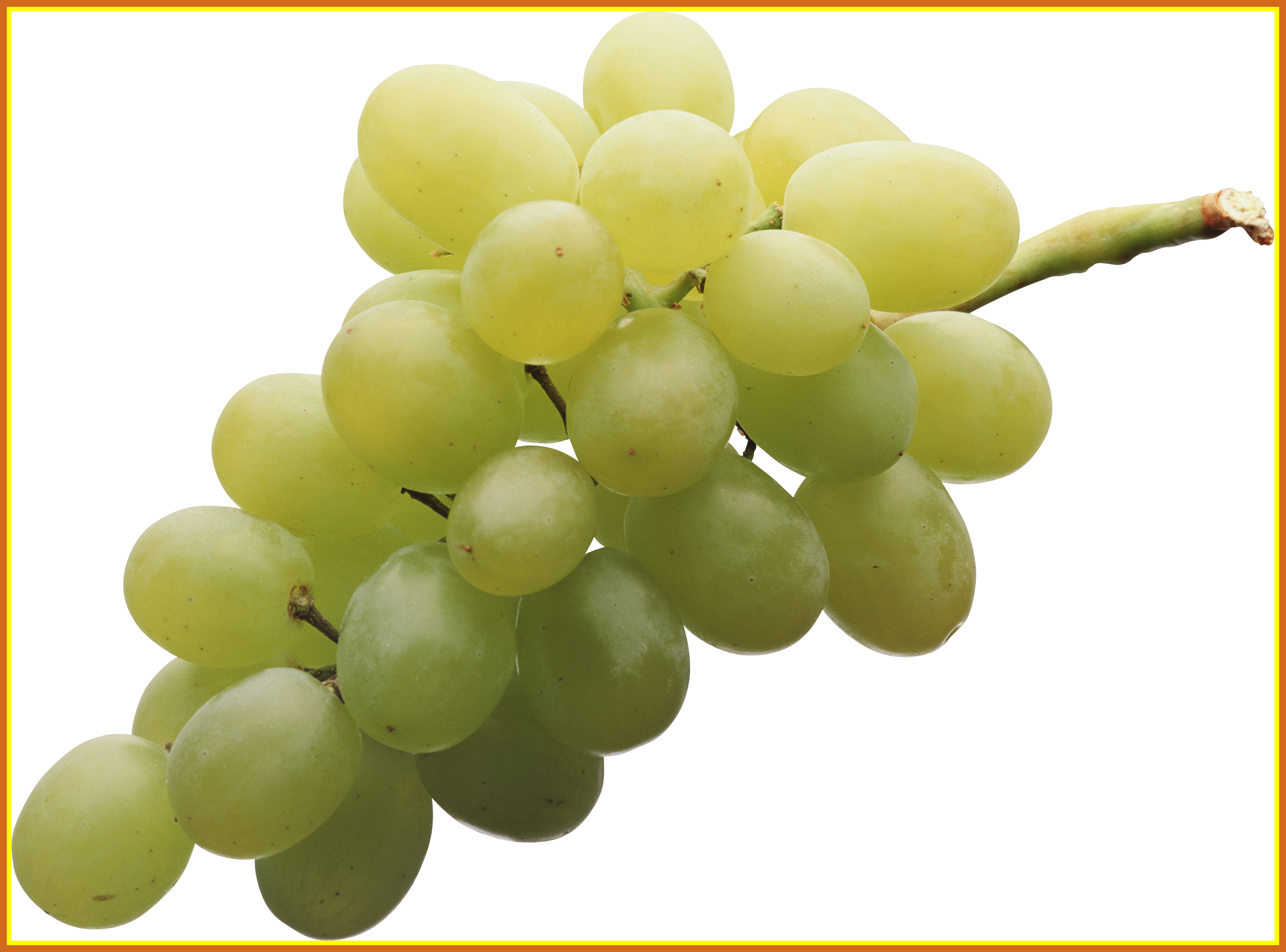 Incredible White Grape On Background Fleurs Pics Of (2854x2113), Png Download