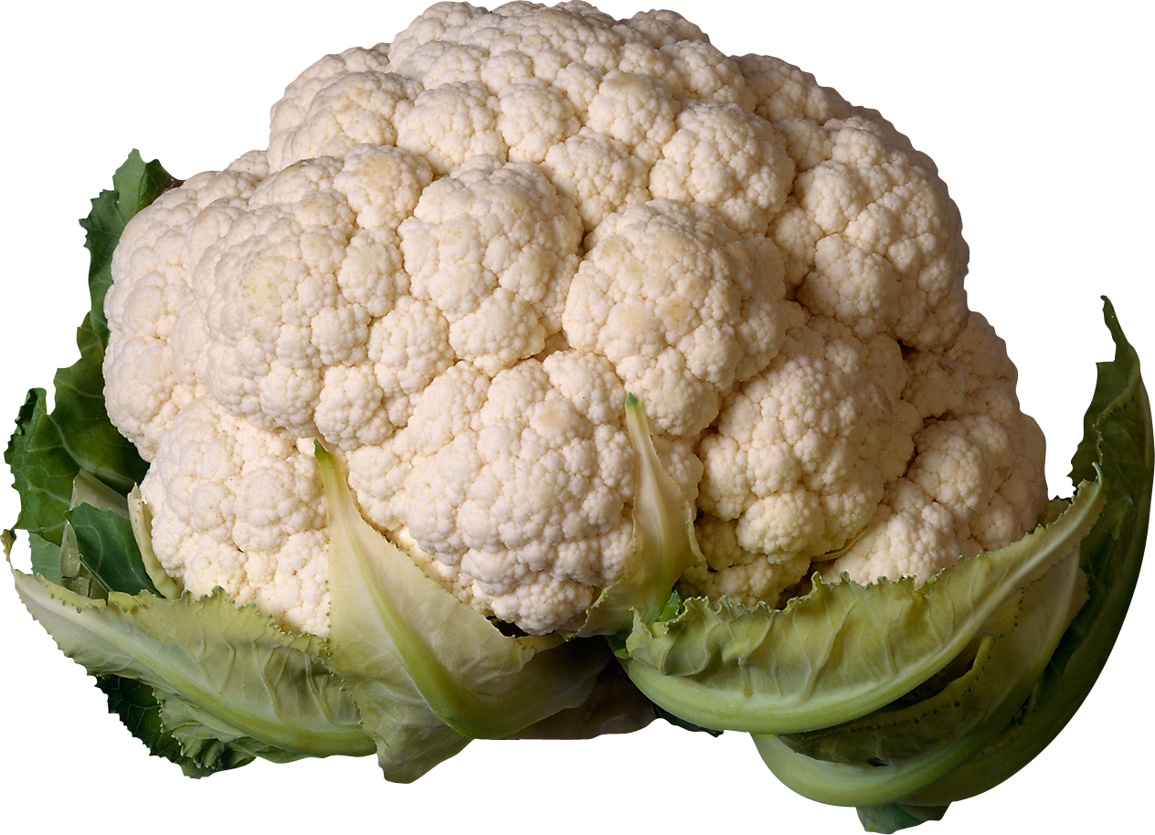 Cabbage Icon Png - Cauliflower Png (1264x914), Png Download