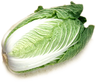 Cabbage Png Icon - Chinese Cabbage Transparent Background (396x337), Png Download