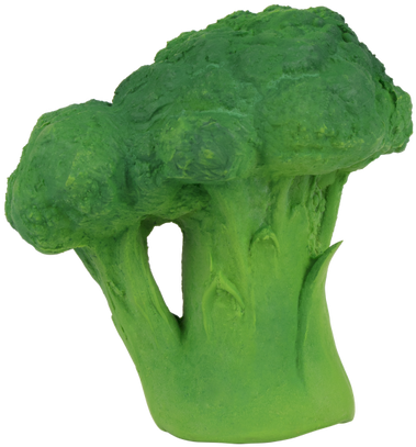 Broccoli Teether - Oli & Carol Oli & Carol Bijt- (500x500), Png Download