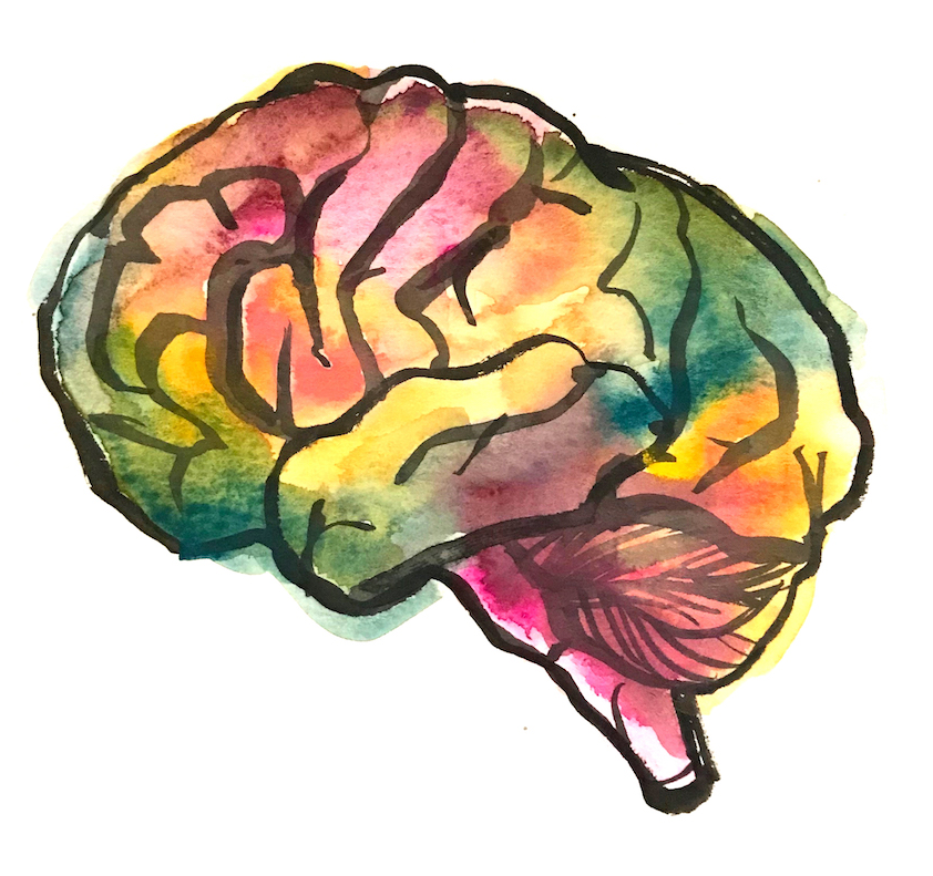 Smbrain - Illustration (842x791), Png Download