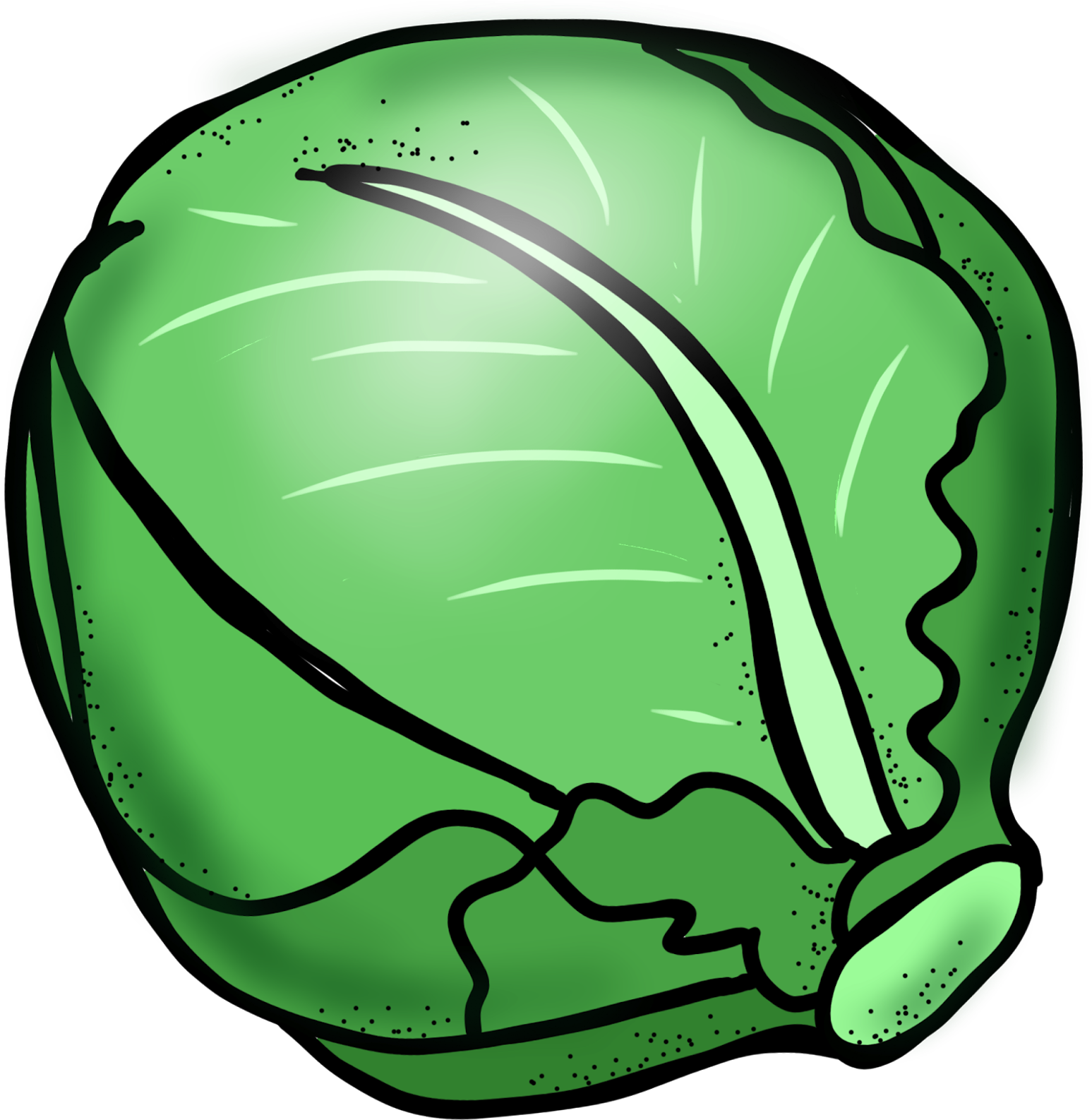 Lettuce Clip Art - Cabbage Clipart (1573x1600), Png Download