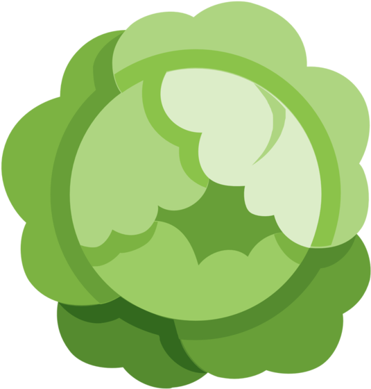 Cabbageco (1000x1000), Png Download