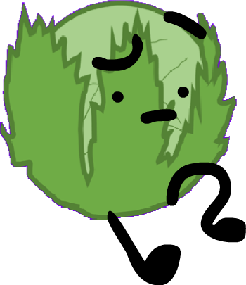 Cabbage-bfdi2 - Wiki (350x405), Png Download