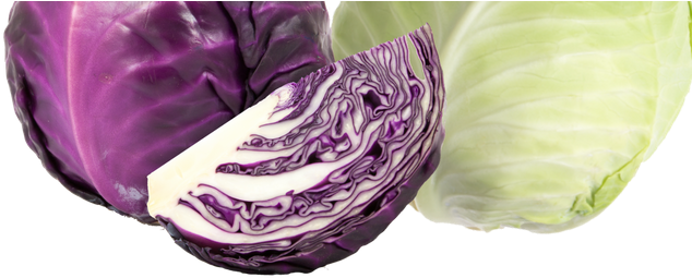 Beets - Vegetable (767x337), Png Download