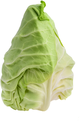 Pointed Cabbage - Pointed White Cabbage (414x591), Png Download