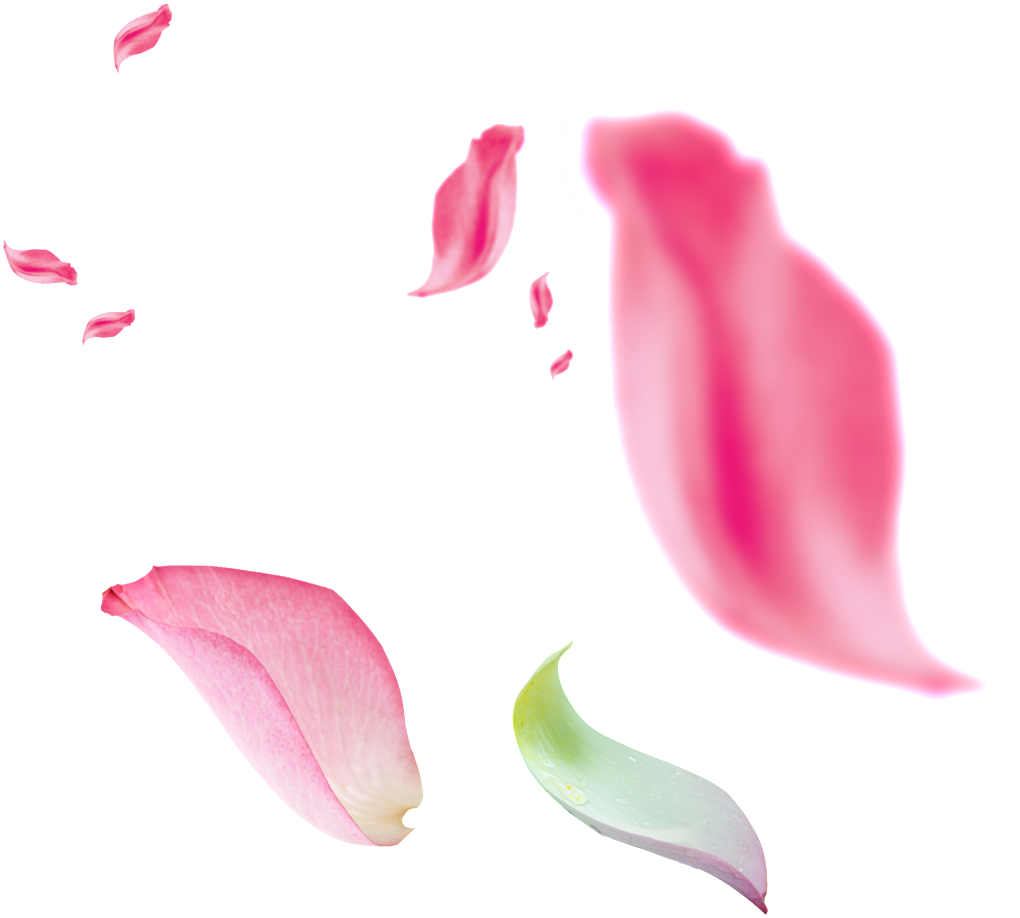 This Graphics Is Beautiful Floating Pink Petals Transparent - Petalos Rosa Png (1024x1024), Png Download