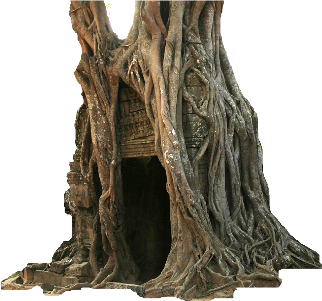 Old Hollow Tree - Ta Som (733x638), Png Download