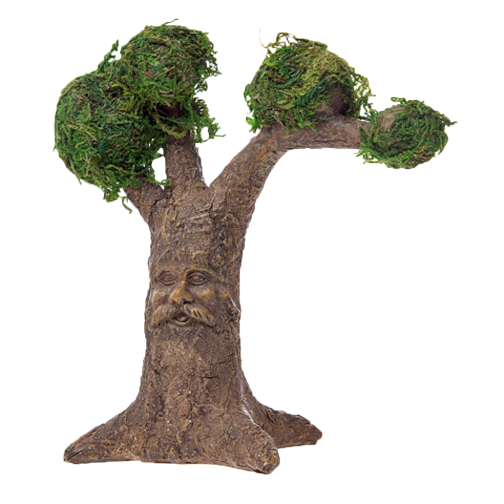 Darice Fairy Garden Tree With Carved Face (1000x1000), Png Download