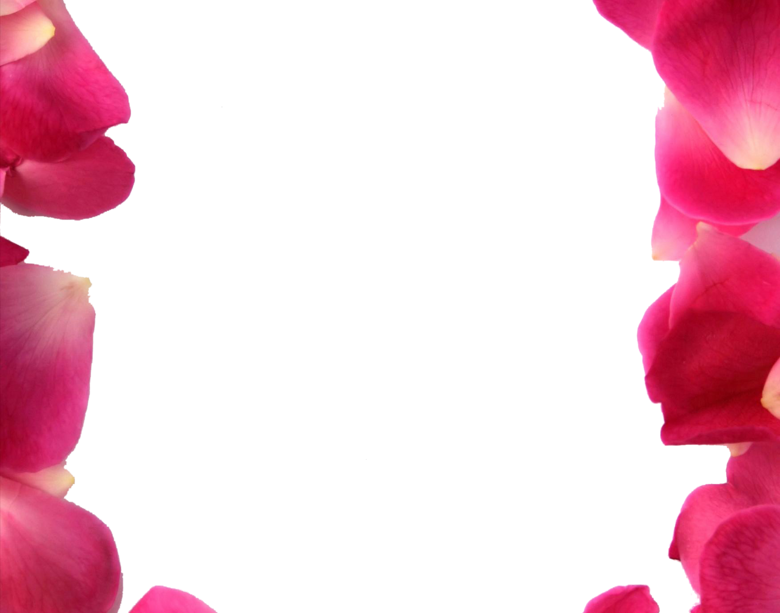 Rose Petals Frame Png (1600x1258), Png Download