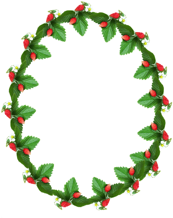 Frame, Border, Alpine Strawberry, Decorative - Mandalas A Crochet Para Colgar (597x720), Png Download