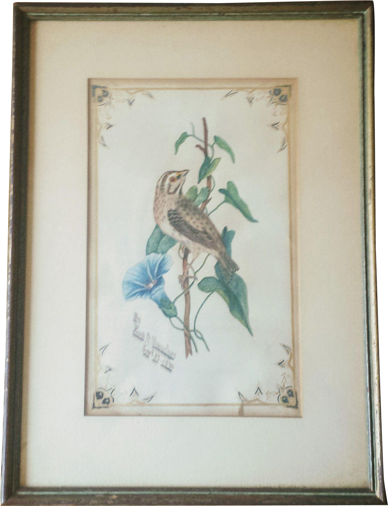 Antique Watercolor Sparrow On Morning Glory Artist - Art (1933x1933), Png Download